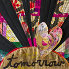 Julie Fei-Fan Balzer